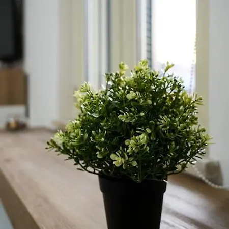 Marittima Apartamento Frosinone